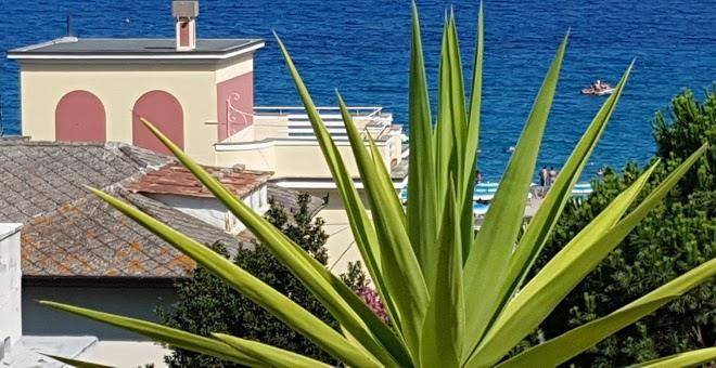Albergo hotel graziella
