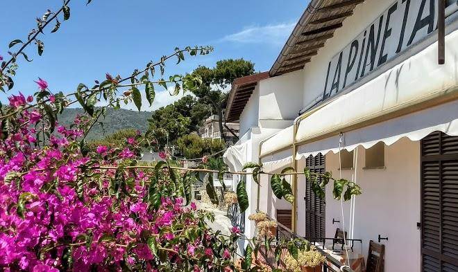 Albergo la pineta