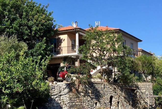 Gli ulivi al mare