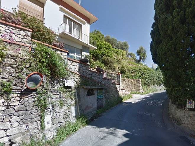 Gli ulivi della monda