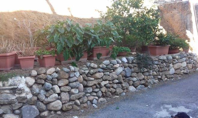 Il Nostro Oliveto Image