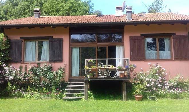 Il pettirosso
