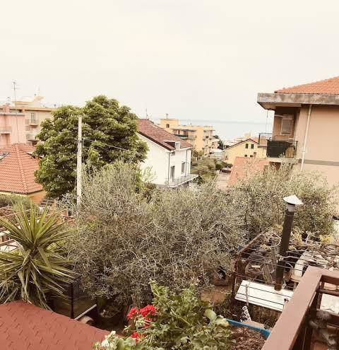 La gatta e il glicine