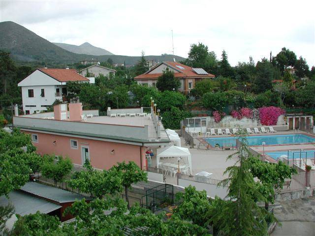 La pineta