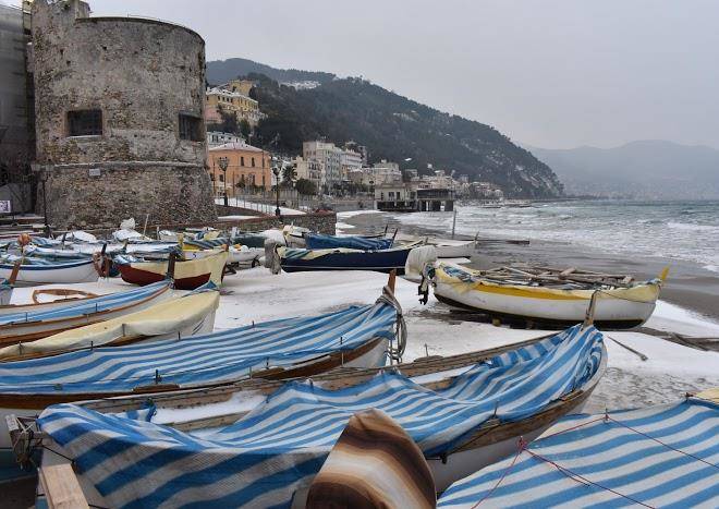 La stella marina