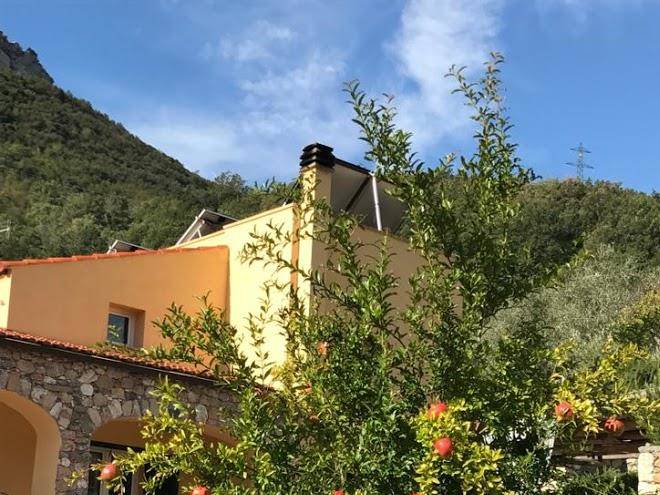 Ort Holiday's Time Image