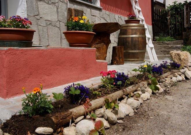 Un Coccodrillo A Frassino Image