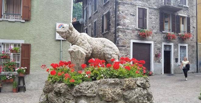 Albergo Edelweiss Image