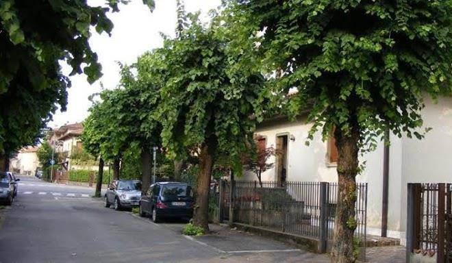 B&b oriobgy