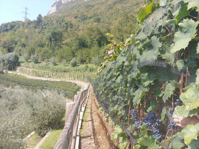 Cascina Lorenzo Image