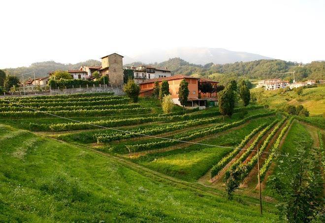 Agriturismo il belvedere