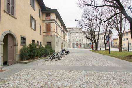 Papavero accademia carrara