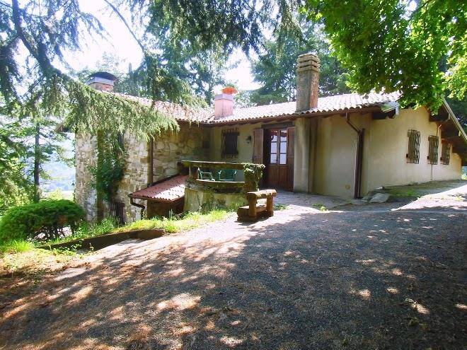 Taiobe Nel Frutteto Degli Elfi Image