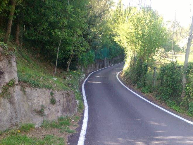 Un mulino nel bosco