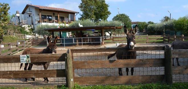 Agriturismo cascina graziosa