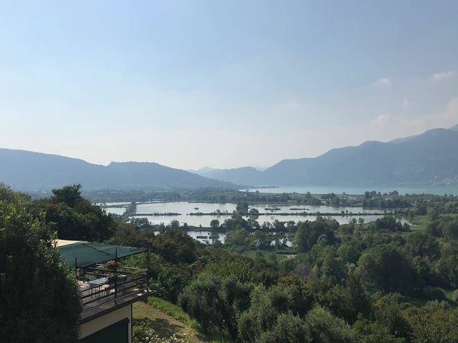 Agriturismo forest
