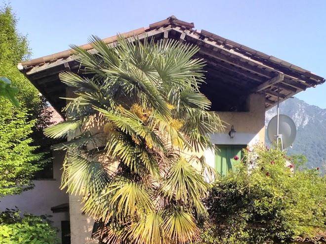 B&b al pojat