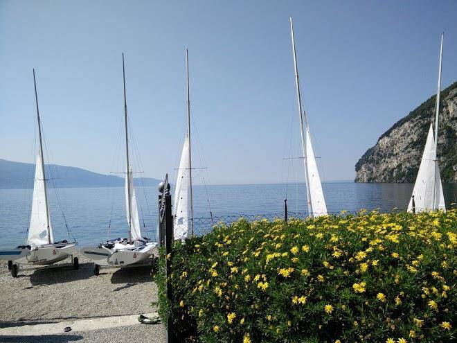 B&b torredegliulivi