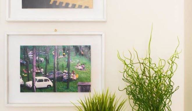 Chiare Ginestre Image