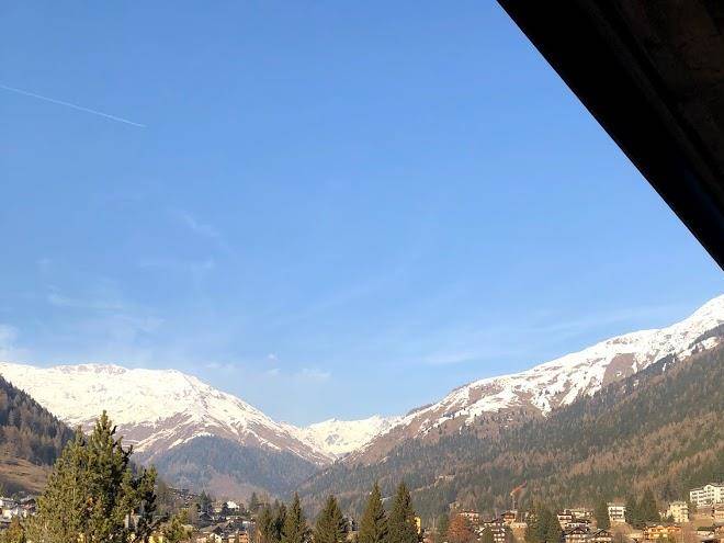 Hotel pineta