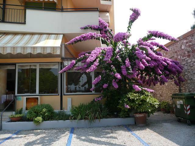 Hotel splendid