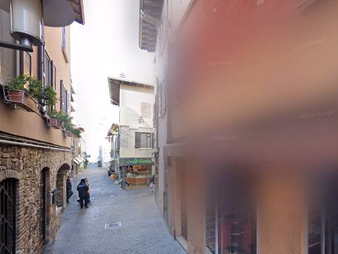 Il nido del cigno