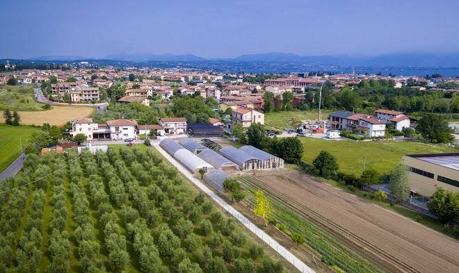 Le moie ortofloricoltura & agriturismo