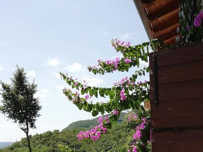 San Michele Villino Pierangela Image