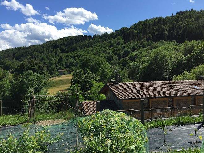Agriturismo il talento nella quiete