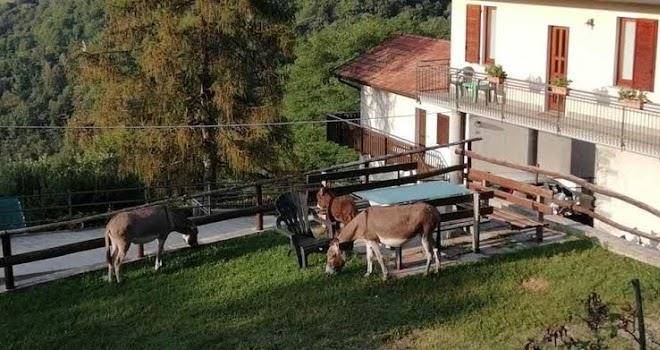 Agriturismo runchee