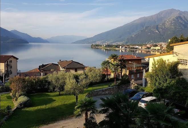 Crotto regina