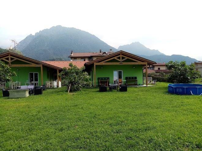 Green garden