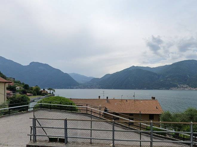 Il gelso lezzeno