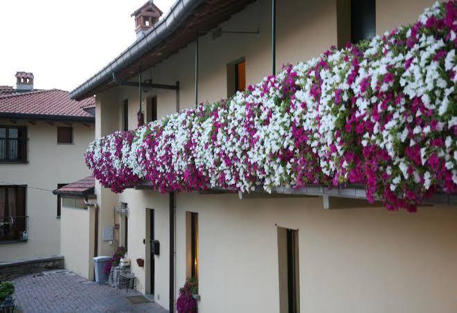 La locanda dell'oca bianca