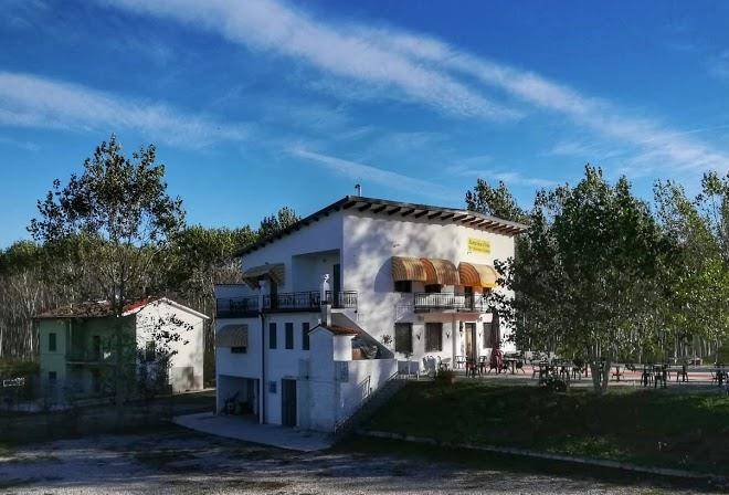 La zanzarina d'oro