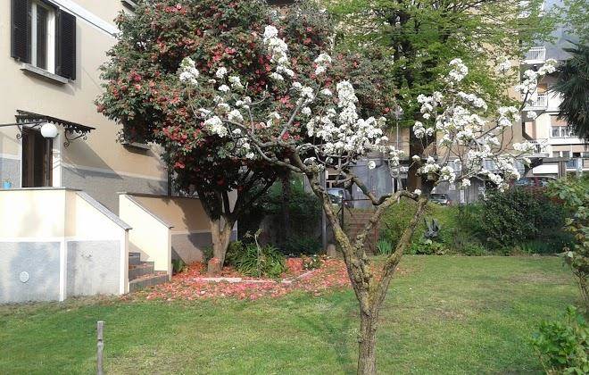 B&b la camelia