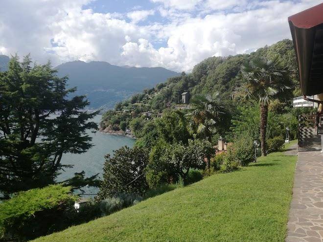 La rivetta dorio