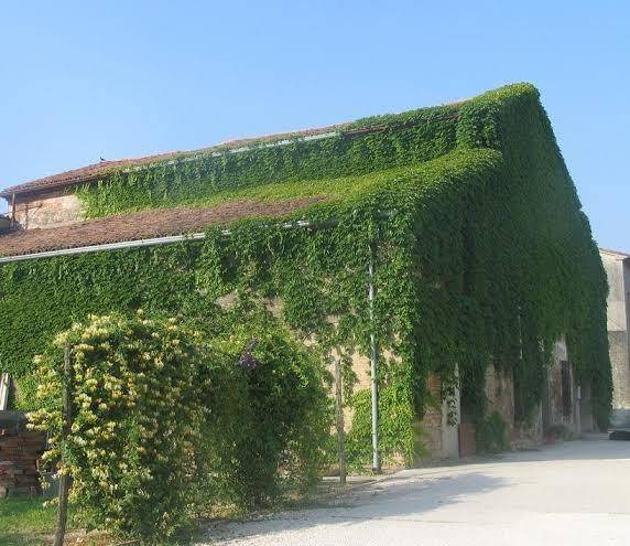 Agriturismo ca rossa