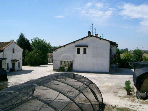 Azienda agricola la margherita