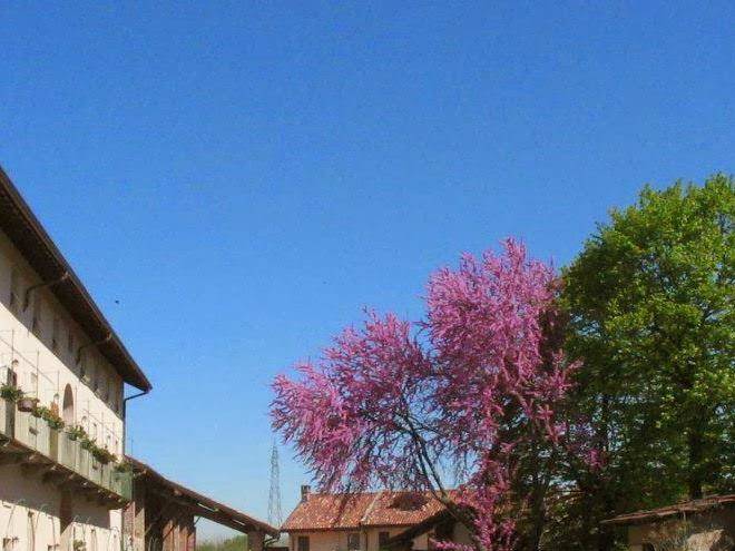 Agriturismo cascina santa brera