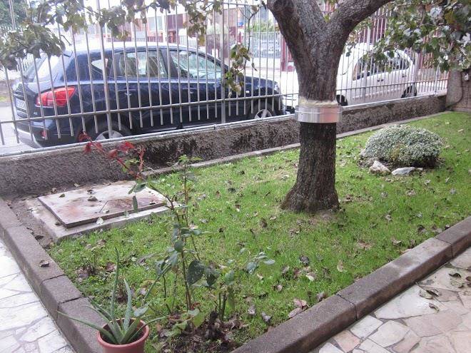 B&b il terrazzo