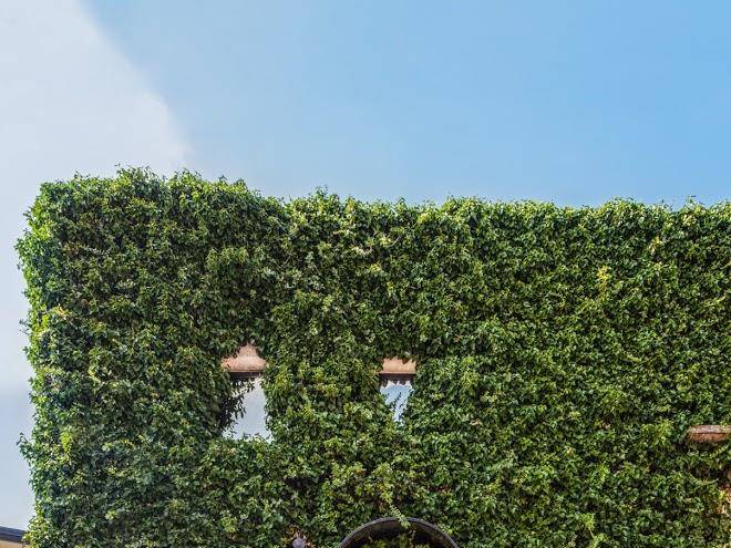 Azienda Agrituristica Bosco Longhino Image