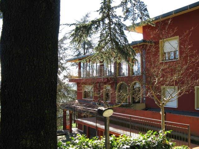 Cantine di mezzaluna