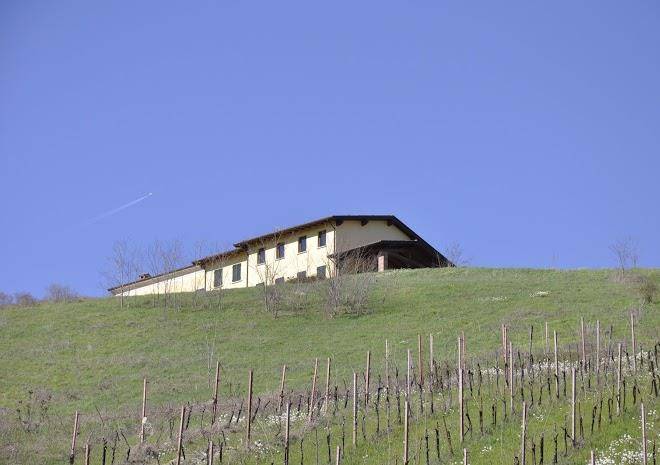 La genesa b&b