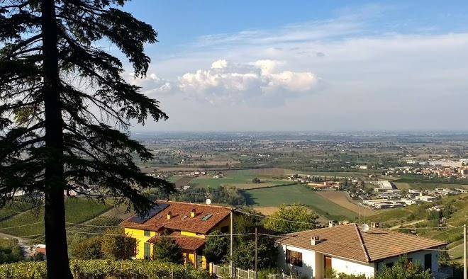 Tra le vigne