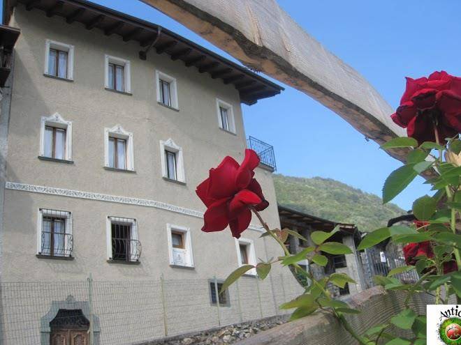 Agriturismo antico filare