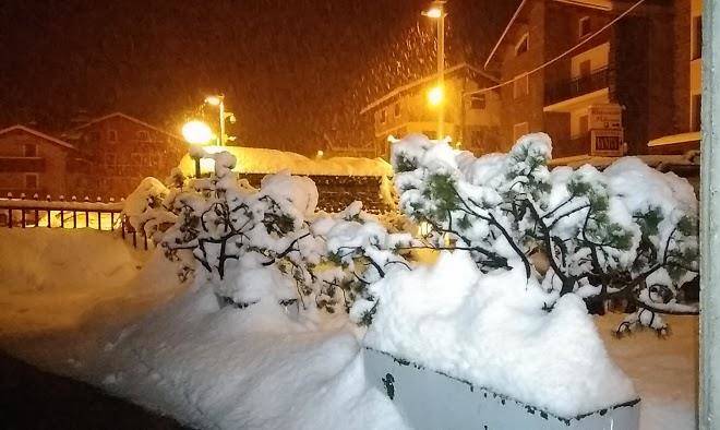 Albergo pigna d'oro snc di schenatti micaela e sara