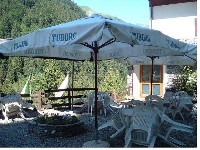 Albergo pineta