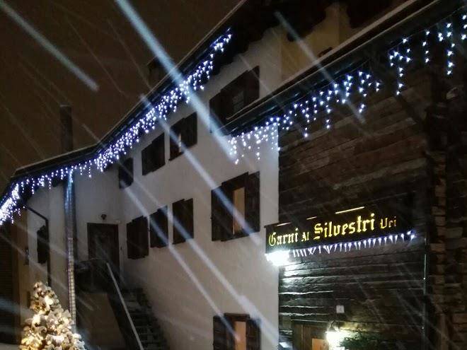Garni al silvestri vei