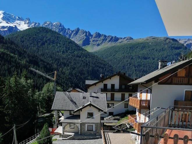 Pensione lepre bianca